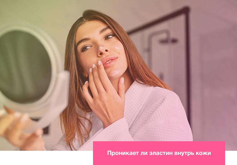 Проникает ли эластин внутрь кожи Проникает ли эластин внутрь кожи